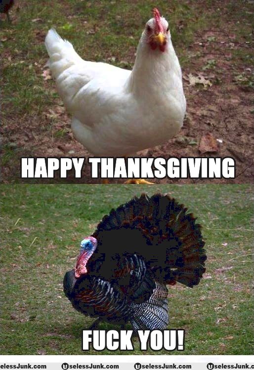 Funny thanksgiving memes of poultry for buddies n family for, make