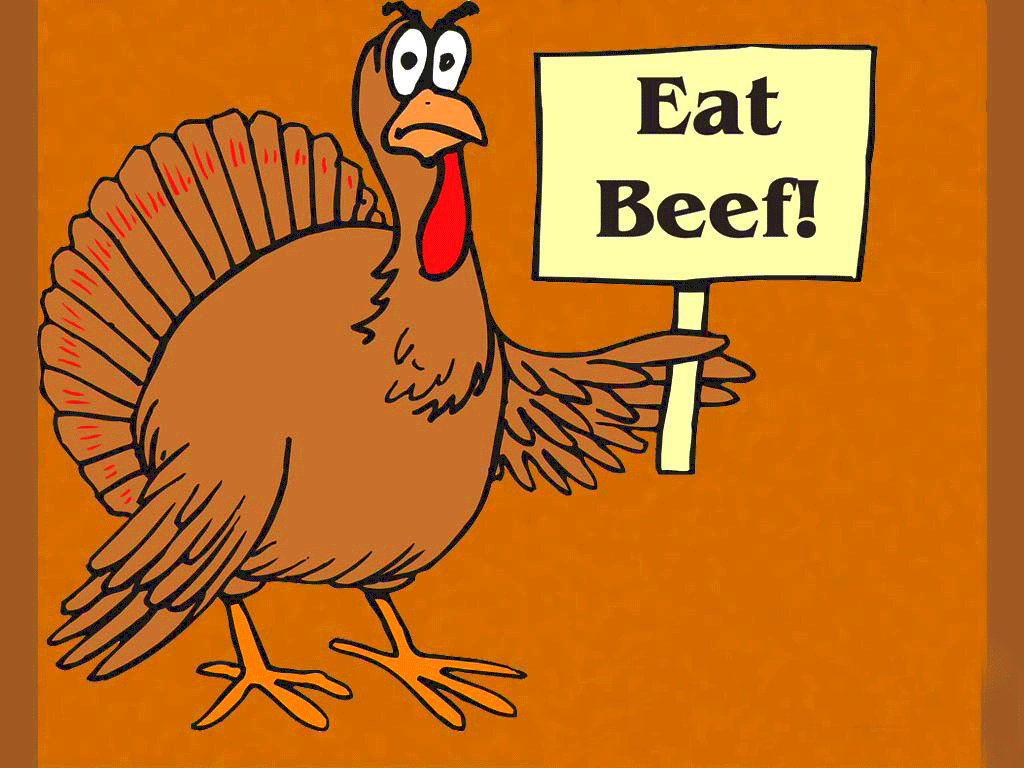 Funny Thanksgiving Turkey Pictures