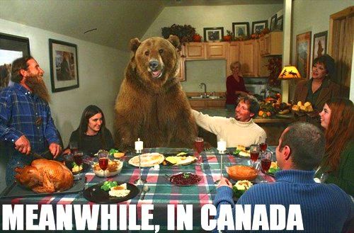 thanksgiving memes bear