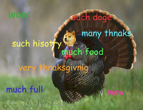 thanksgiving memes doge