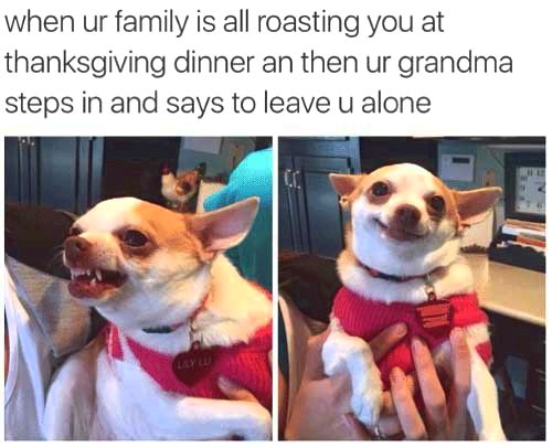 thanksgiving memes roast