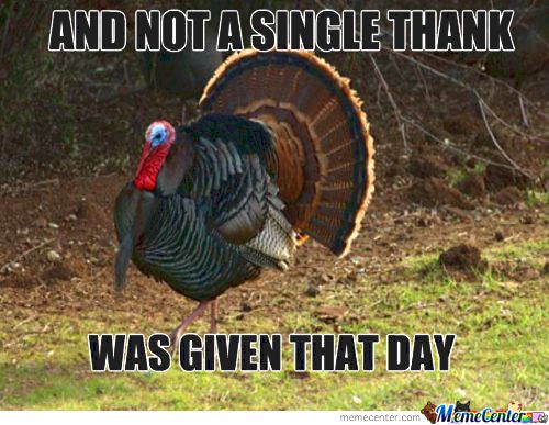 thanksgiving memes thank