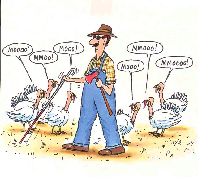turkey thanksgiving jokes