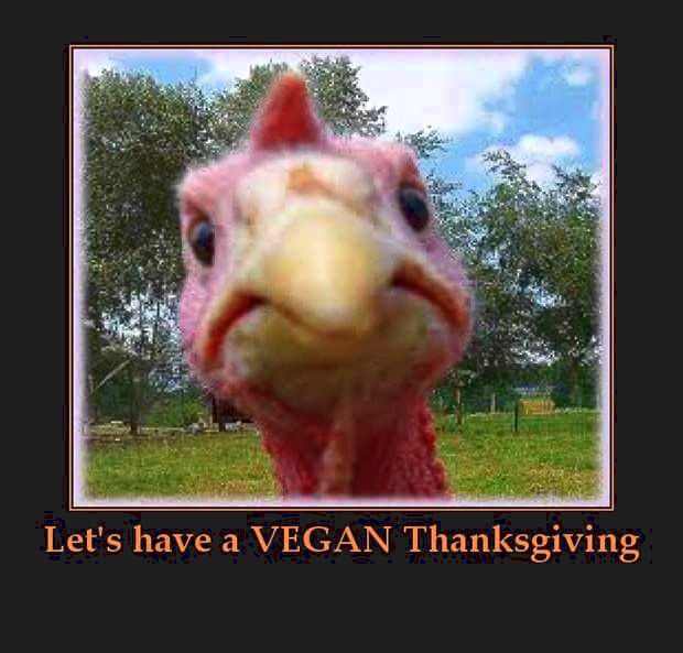 funny thanksgiving pictures 36 (1)