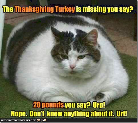 25 Hilarious Thanksgiving Memes