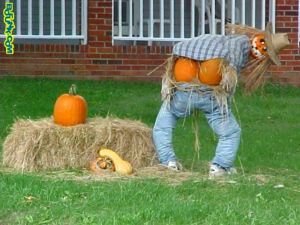 Funny halloween pictures image