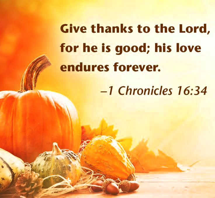 Happy thanksgiving sayings, quotes and desires No-one can give thanks