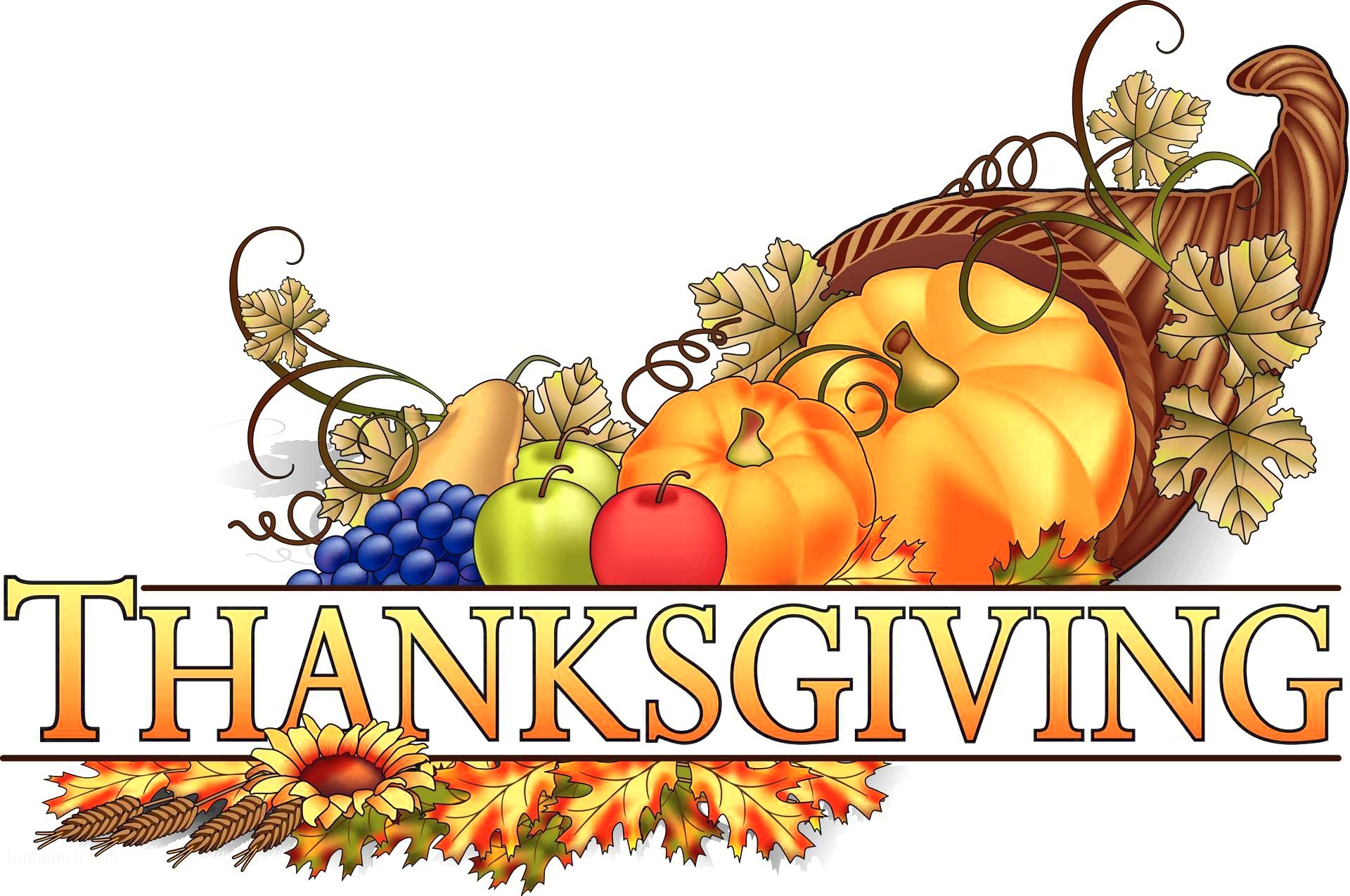 Happy Thanksgiving Day Images Pictures HD wallpapers 2016