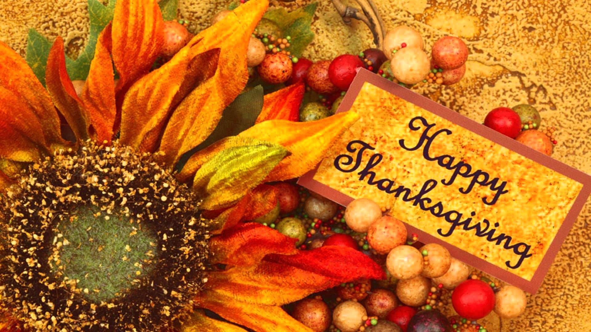 Happy Thanksgiving Day Images Pictures HD wallpapers 2016