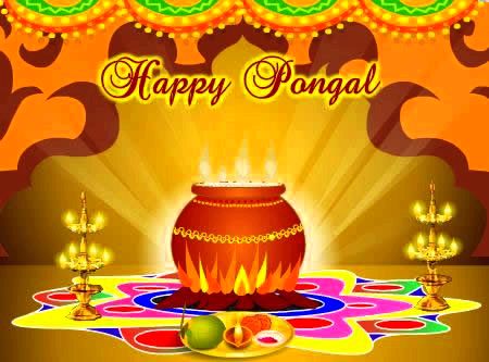 Happy Pongal Whatsapp Status & Messages 2016 