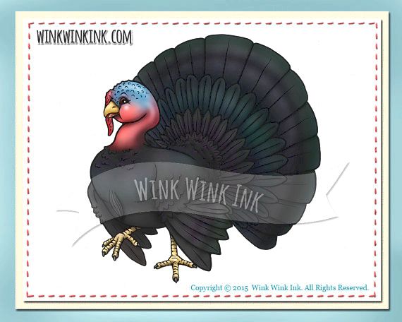 Digital stamp - tom poultry - thanksgiving digi with bonus colored images from winkwinkink on etsy studio the artwork his or her