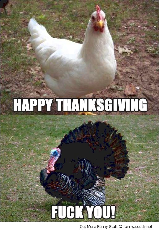 Funny poultry pictures thanksgiving 2016 right noise,    

However in the