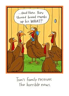 Funny poultry pictures thanksgiving 2016 honestly felt sorry with