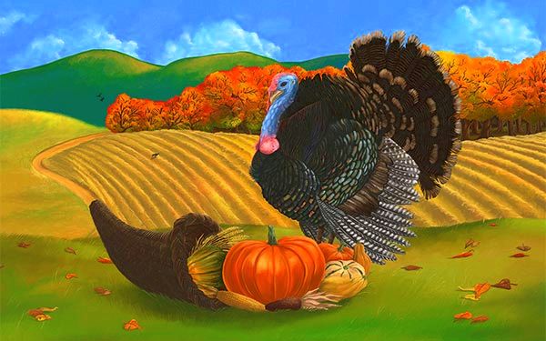 Beautiful-Turkey-Image-Painting-for-Thanksgiving-2014