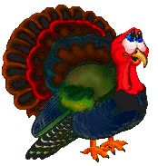 turkey animation