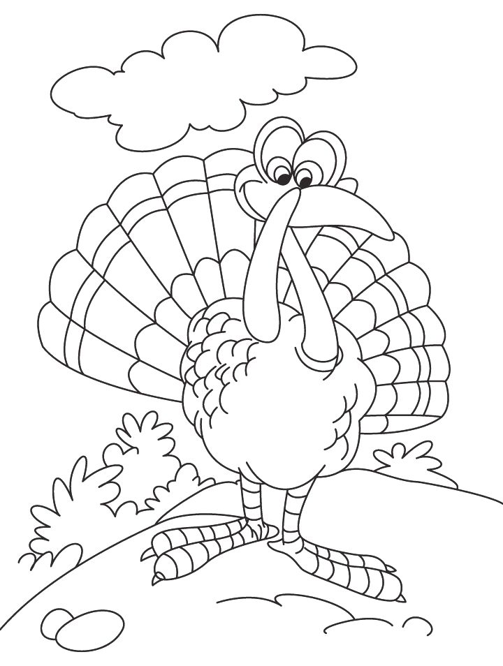 Thanksgiving turkey coloring page  Download Free Thanksgiving 