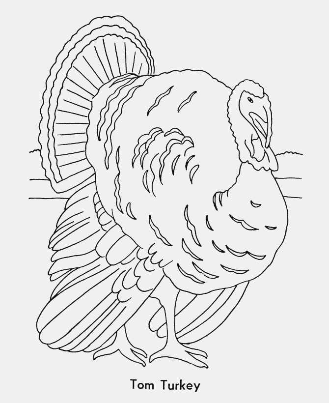 Thanksgiving Coloring Pages - Tom Turkey Coloring Page Sheets 