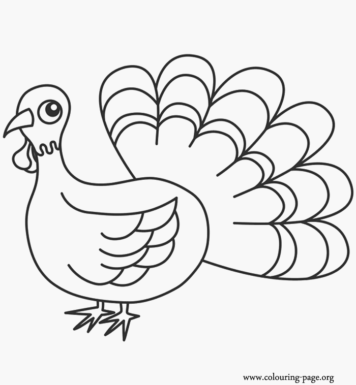 ton turkey Colouring Pages