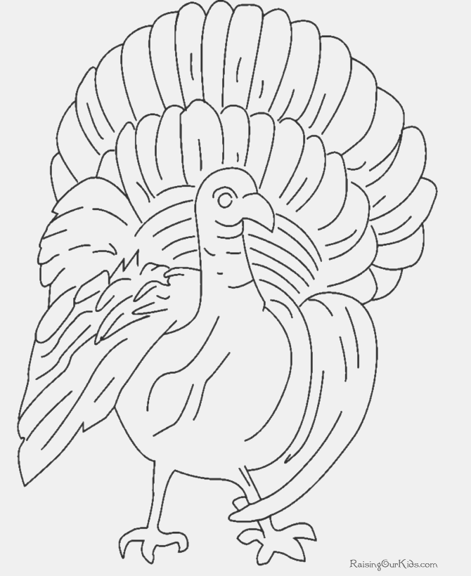 Turkey Thanksgiving Coloring Pages to Print 020