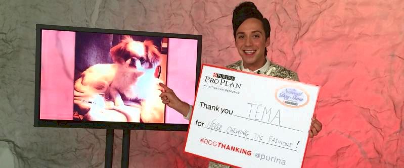 Purina launches #dogthanking initiative in celebration from the national dog show presented by purina® it has