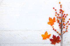 Autumn Thanksgiving Background Royalty Free Stock Photography