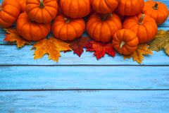 Autumn Pumpkin Thanksgiving Background Stock Images