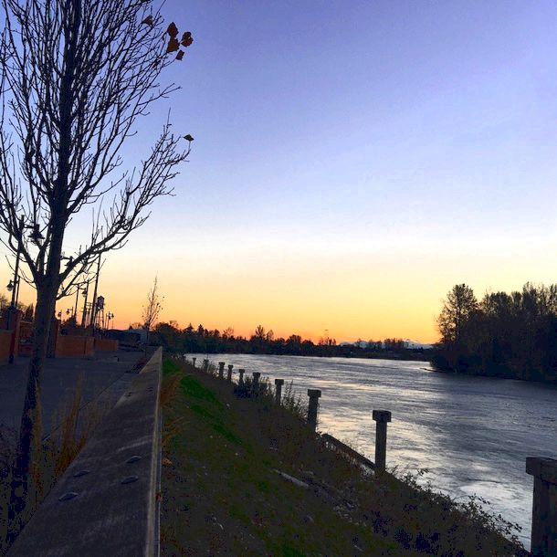 river-walk-in-mount-vernon-wa.jpg