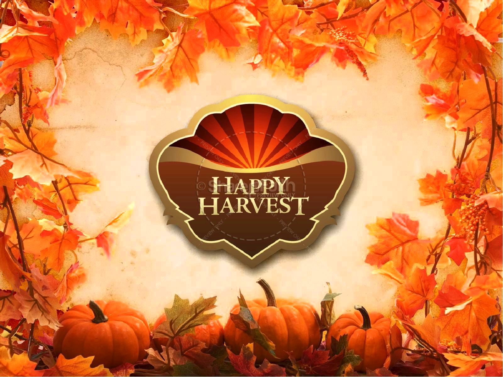 Harvest :: happy thanksgiving Mencia, Arma de
