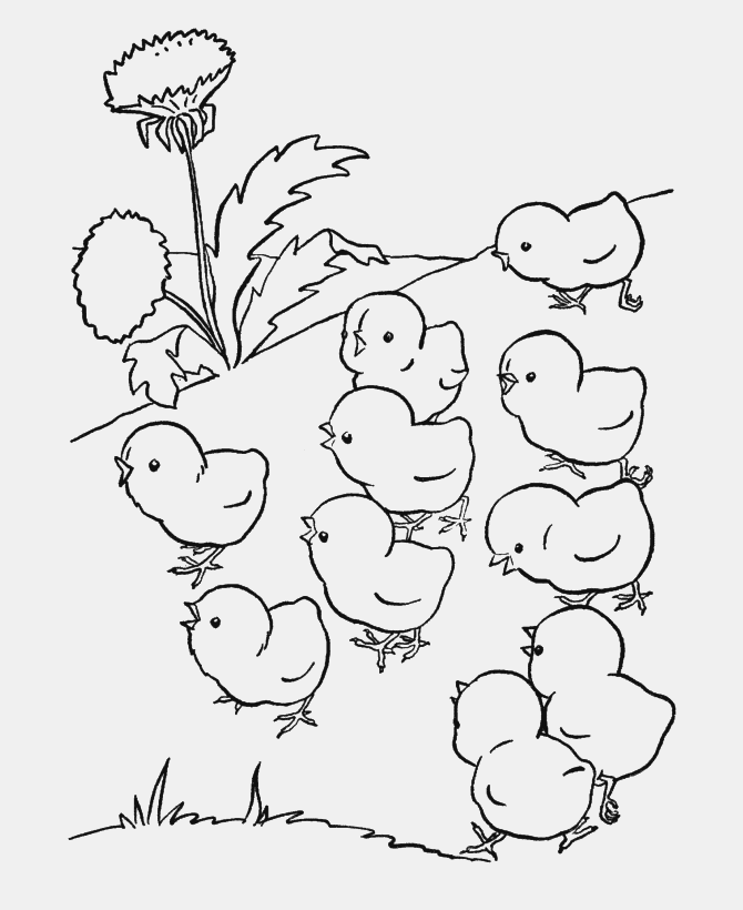 Top Ten free printable thanksgiving poultry coloring pages online significance of the storyline