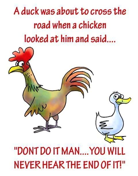 Poultry jokes part nine, part ten