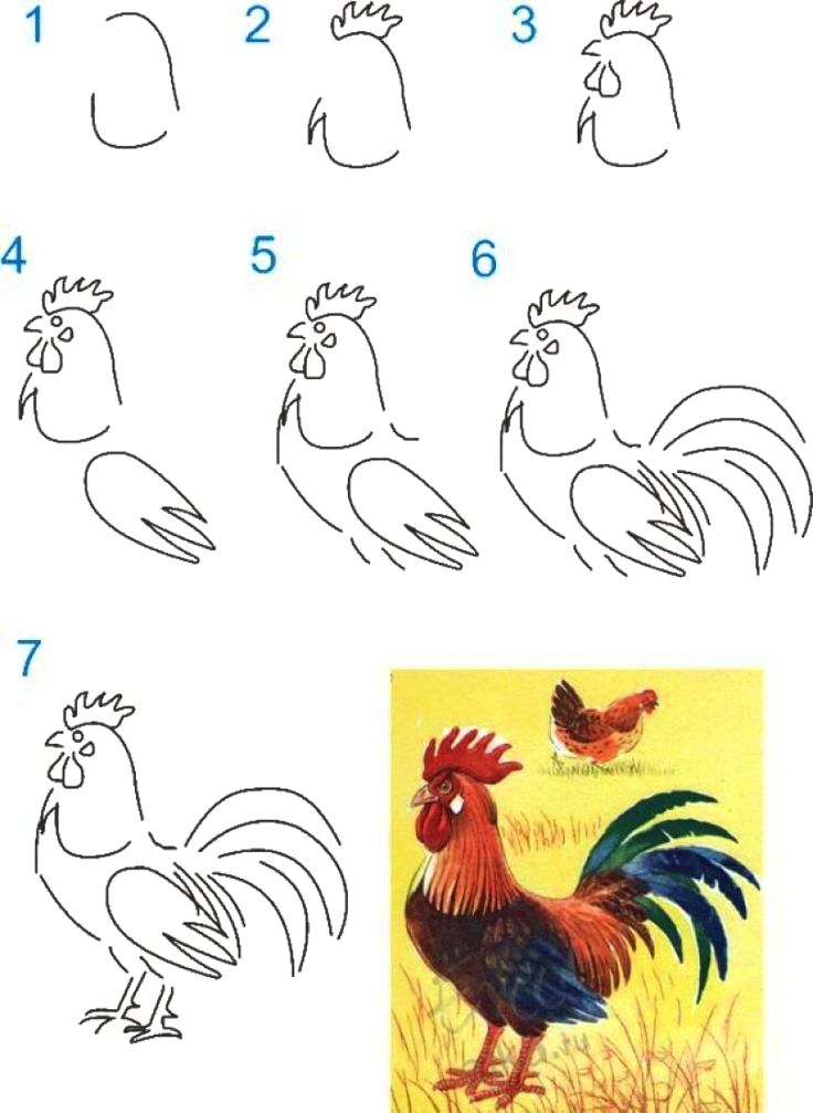 Poultry thanksgiving directed drawing teaching ideas          

    

    primary     

    activities